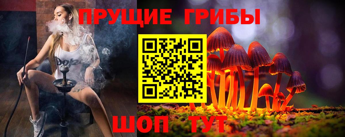 Галлюциногенные грибы MAGIC MUSHROOMS Железногорск